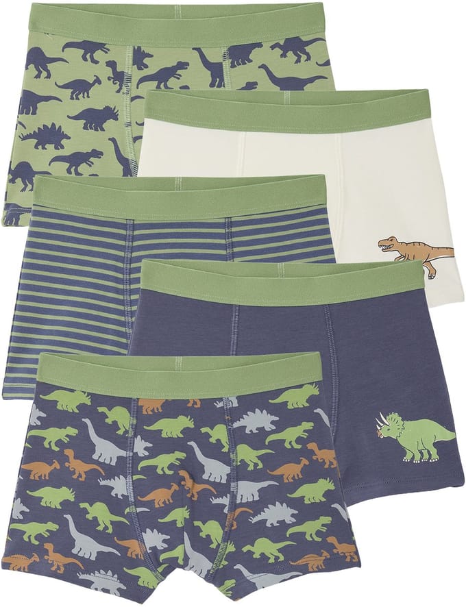 Vertbaudet Set van 5 boxershorts voor jongens met dinosaurussen
