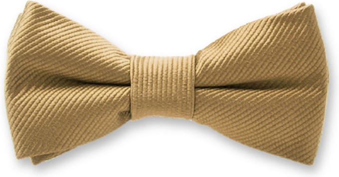 E.L. Cravatte Kinderstrik - Goud - 100% Zijde Kinder Vlinderdas