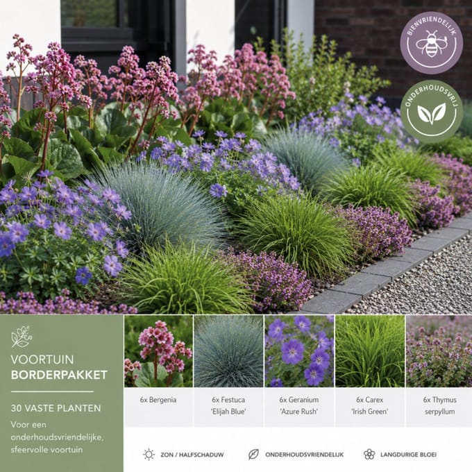 Mrleaf.be Borderpakket voortuin - 30 planten - 4 m²