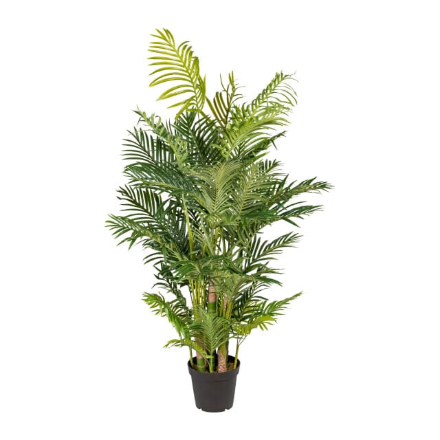 Kopu Kunstplant Arecapalm 170 cm 9 Stammen - Real Touch - Goudpalm