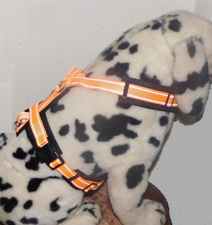 Hetty'S - Oranje-Zwart - hondentuigje - Maat M-