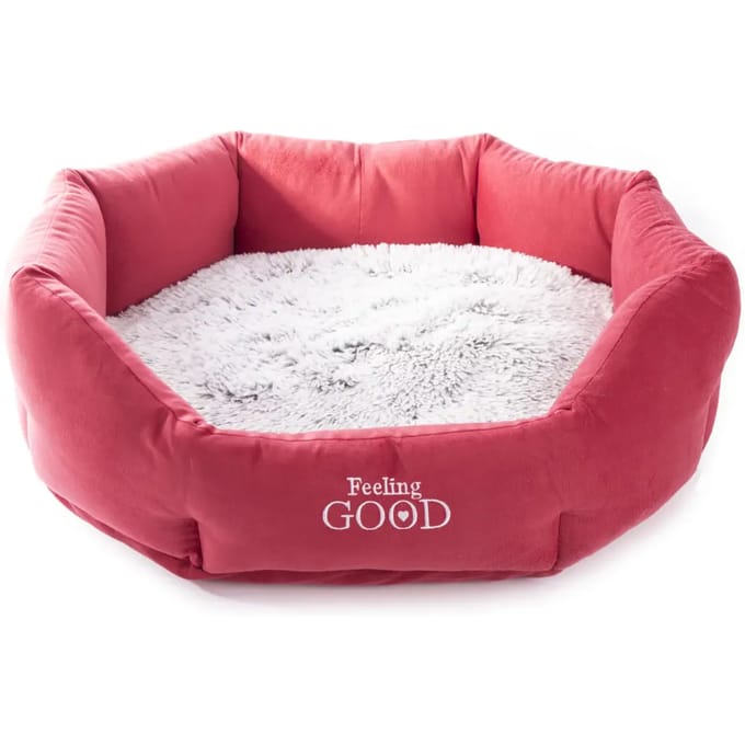 Hond en kat comfortabele mand Martin Sellier Igloo