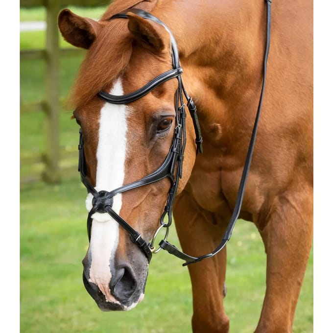 Snaffle bridle Premier Equine Glorioso