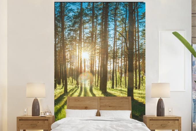 Behang - Fotobehang Zon - Bomen - Landschap - Gras - Breedte 145 cm x hoogte 220 cm