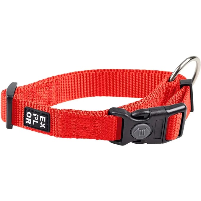 Halsband voor hond van nylon band Duvoplus Classic