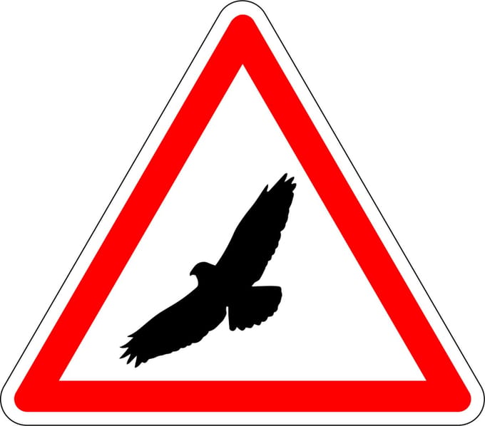 Pas op voor buizerd sticker 100 mm