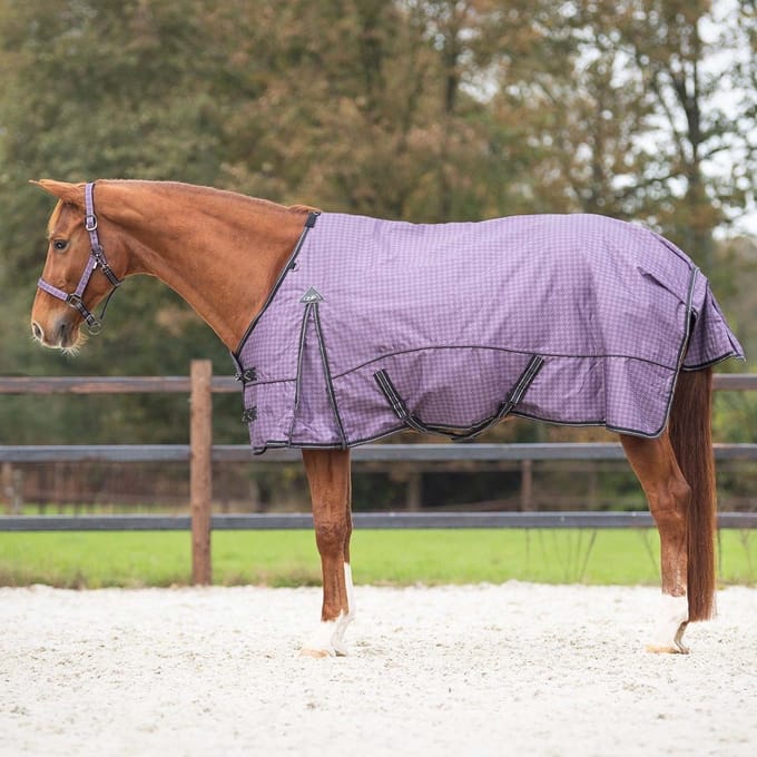 Regendeken luxe 150gram 1200D Amethyst