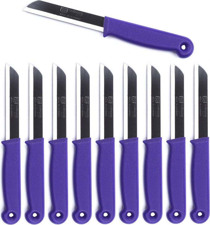 Solingen Schilmesje Duits - Paars - RVS - 18.5 cm. - 500 stuks