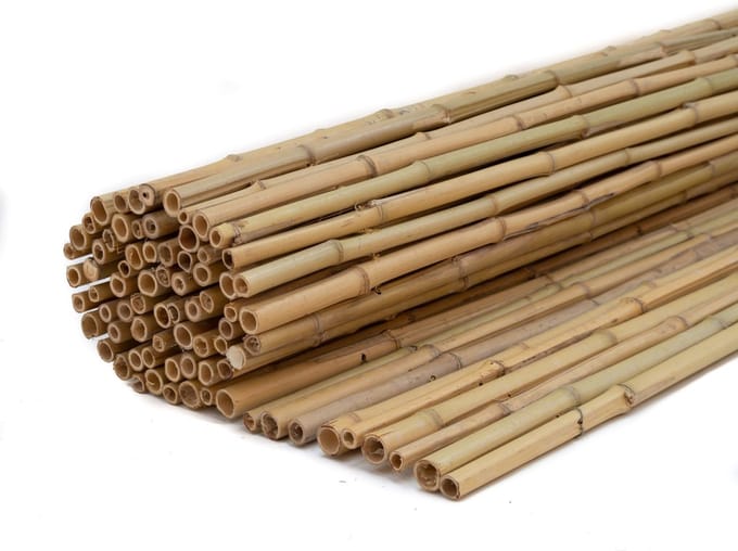 Bamboe rolscherm Dalian H100xL180 cm op rol Van ReesVan Rees