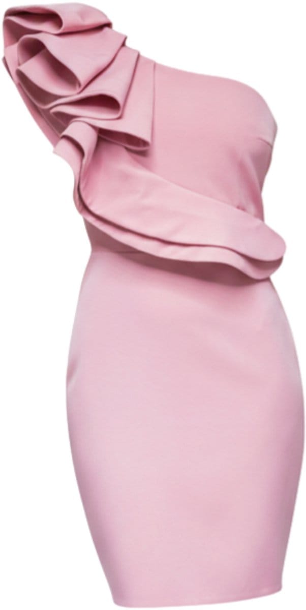 LARICA Jurk - Rits - Jurk Roze M