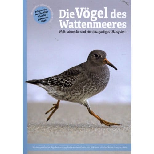Die Vögel Des Wattenmeeres - Marc Plomp