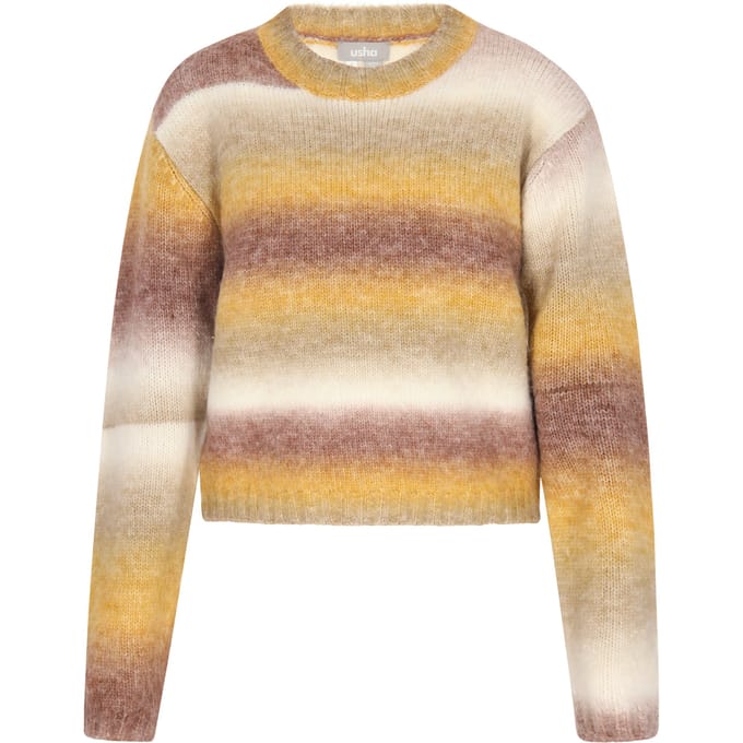 usha Jumper Dames Bruin Veelkleurig