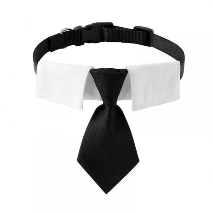 Solidchoice - Dailygoody - Hondenhalsband - Verstelbare Stropdas - Formele