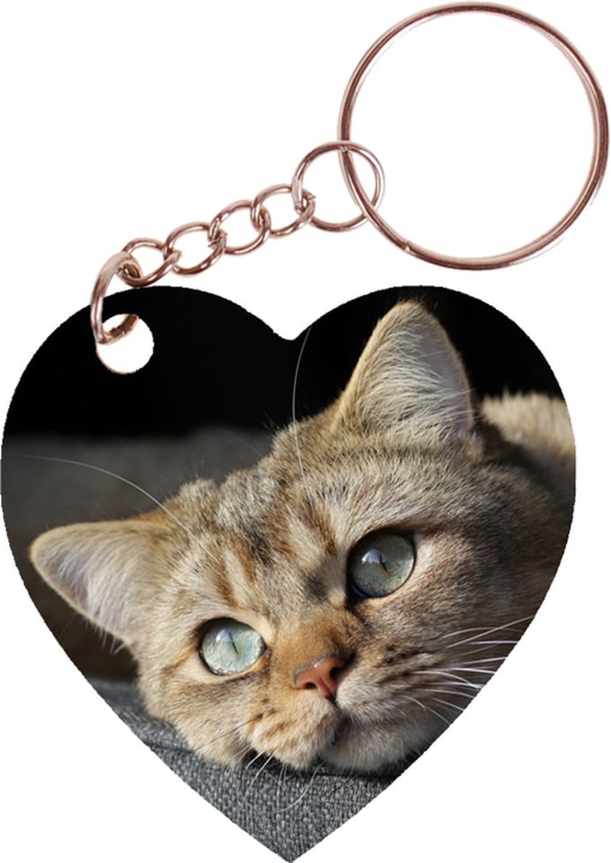 Sleutelhanger hartje 5x5cm - Europees Korthaar Kat Tijger Liggend