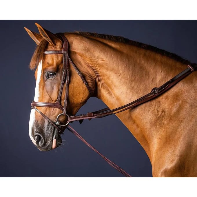 Dy'on - Slofteugel in leer/nylon 5/8 Bruin Cob