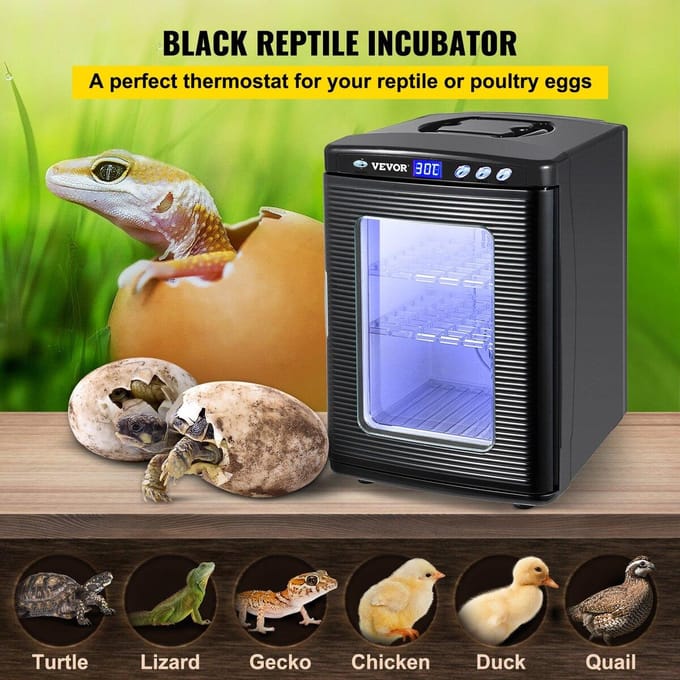 Vevor 25L Reptiel Herp Kweekkas Eierincubator Slang Schildpad Broed Hatch