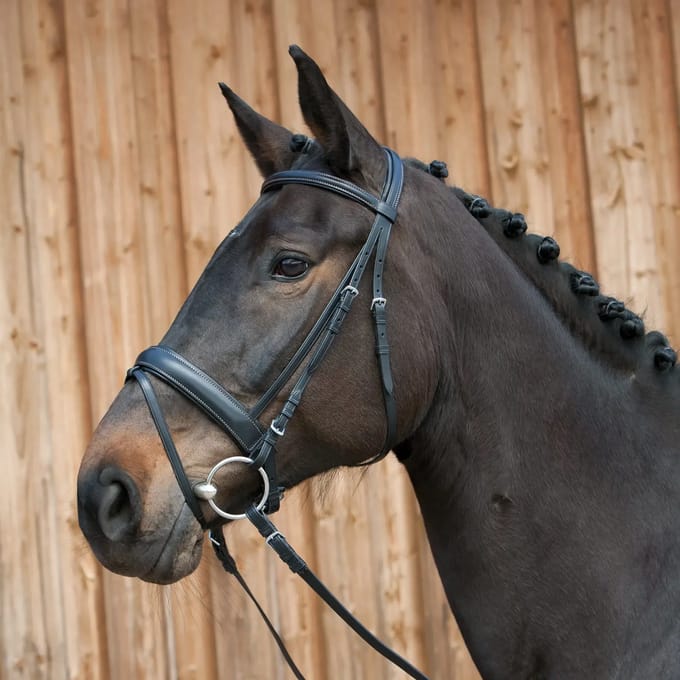 Gecombineerd hoofdstel met neusriem Kieffer Ergonomic Line III