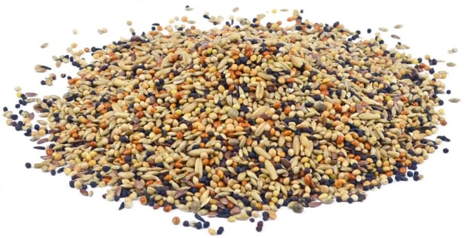 Bird-X Vogelvoer - Volière Mengeling - 5 kg