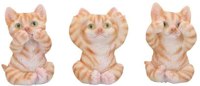 Nemesis Now - Three Wise Ginger Cats Beeldjes/figuren - Multicolours