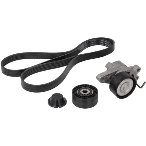 Schaeffler Ina V-snaar set (met rollen) INA 529 0109 10