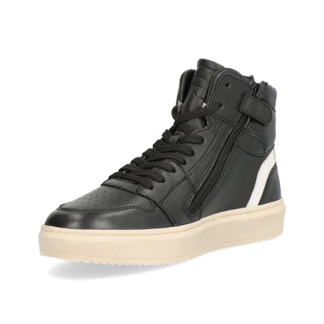 Gattino G1665