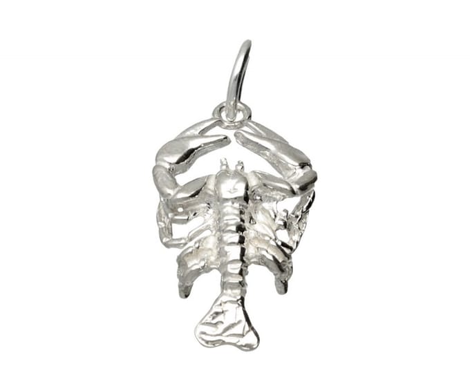 Zilveren Sterrenbeeld Kreeft ketting hanger - groot
