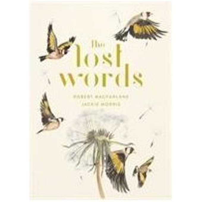 The Lost Words door Jackie Morris Hardback Boek 9780241253588
