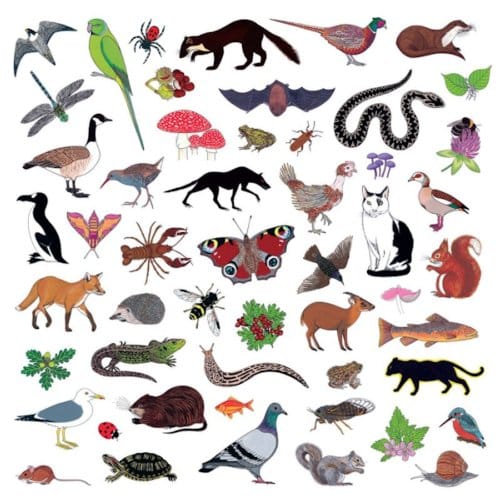 Modern Nature - Island Of Noise (CD)