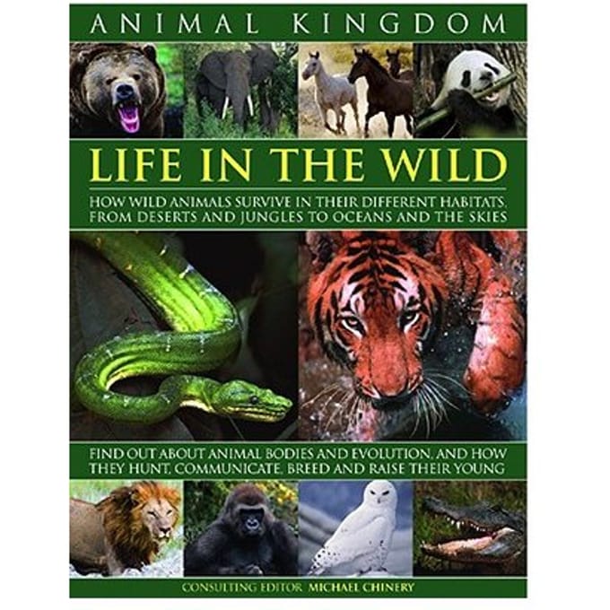 Animal Kingdom