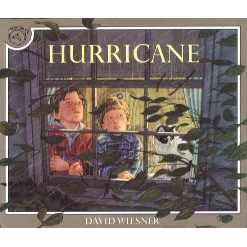 Hurricane - Wiesner, David