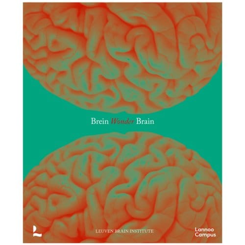 Breinwonder / Wonder Brain - Mathieu Vandenbulcke
