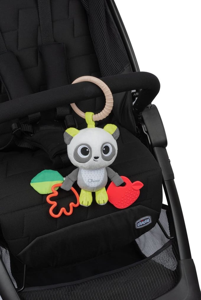 Chicco Turtle fabric Rattle