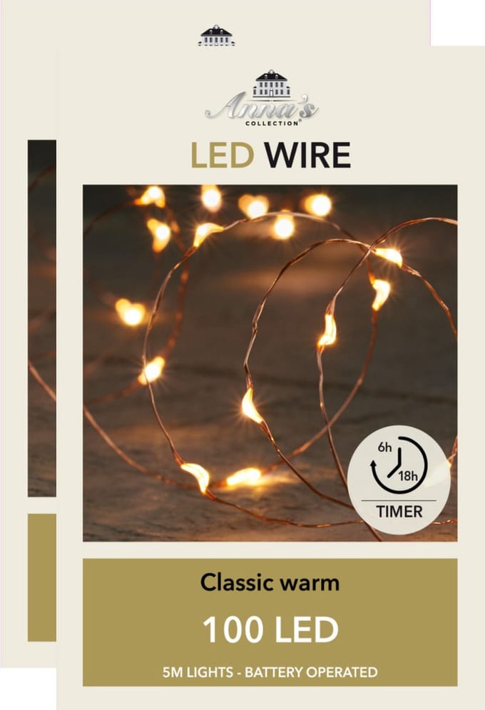 Anna Collection Draadverlichting lichtsnoeren - 2x - 100 leds - koper -warm wit licht -500 cm