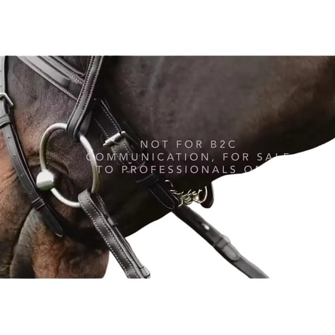 Eenvoudige kettinghalster voor paard Dy'on 5/8"