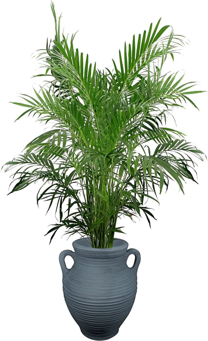 35L grijze plantenbak - Prestige Athene