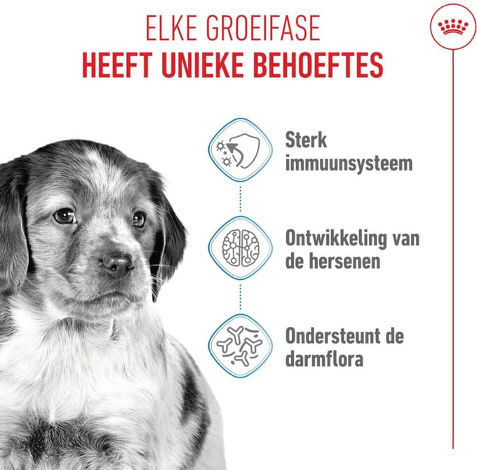 Royal Canin - Hondenvoer Droog Medium Puppy - 1 kg