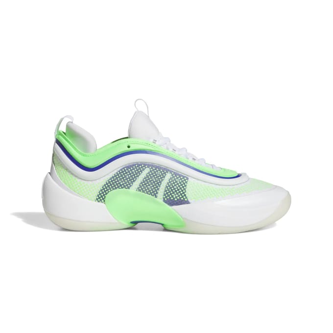 Basketbalschoenen adidas D.O.N. Issue 6