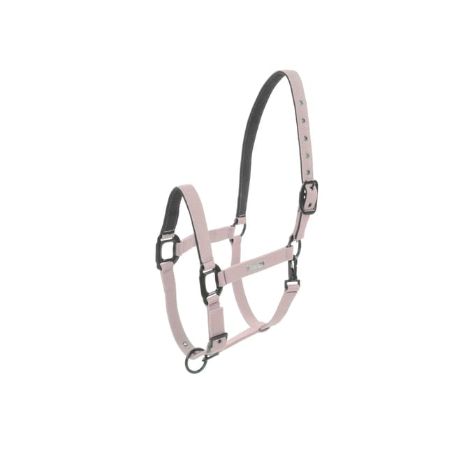 Halster voor paarden Lami-Cell Midnight