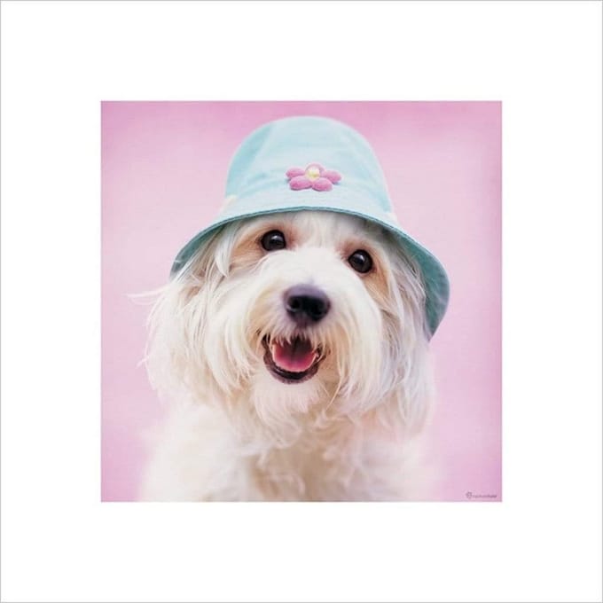 Pyramid Poster - Rachael Hale Cindy - 40 X 40 Cm - Multicolor
