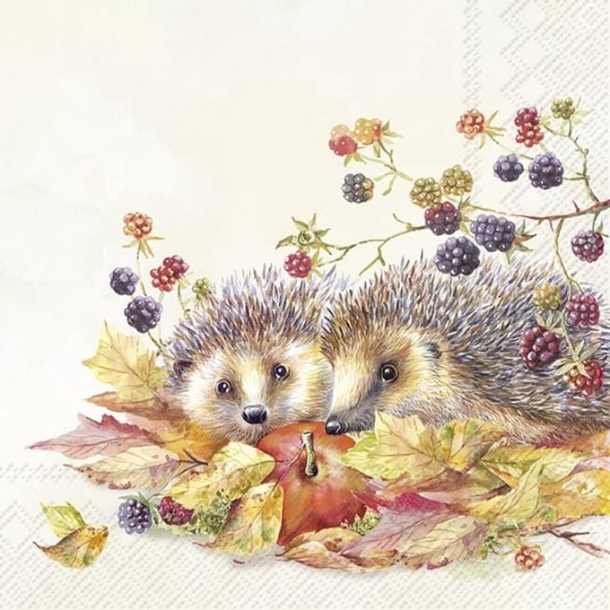 IHR - Lunch servetten - Hedgehog Friends Cream