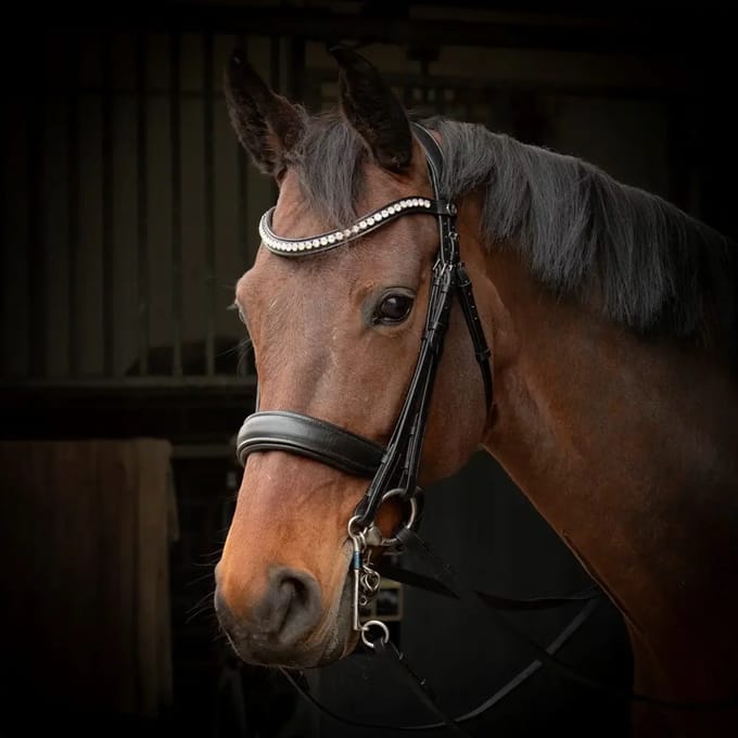 Harry's Horse Kaptoom Harry's Horse Cavesson Anatomic Zwart