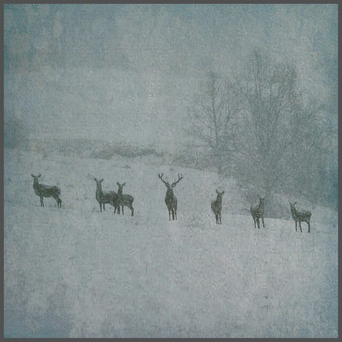 Rauhnacht - Winterstille (LP)