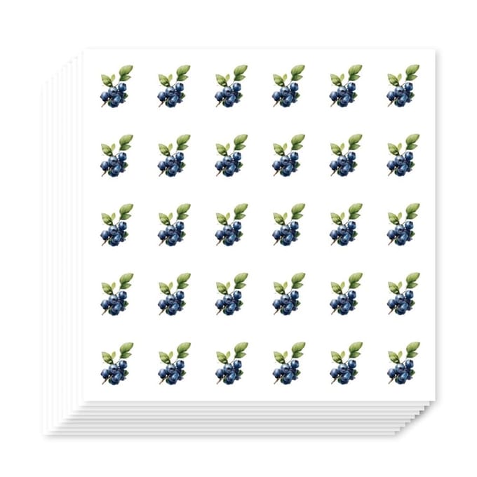 Cosensi - Schattige Fruit Stickers voor Planner en Knutselen