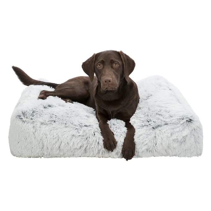 Trixie Kussen Harvey, Rechthoekig 140x90x35cm Hond