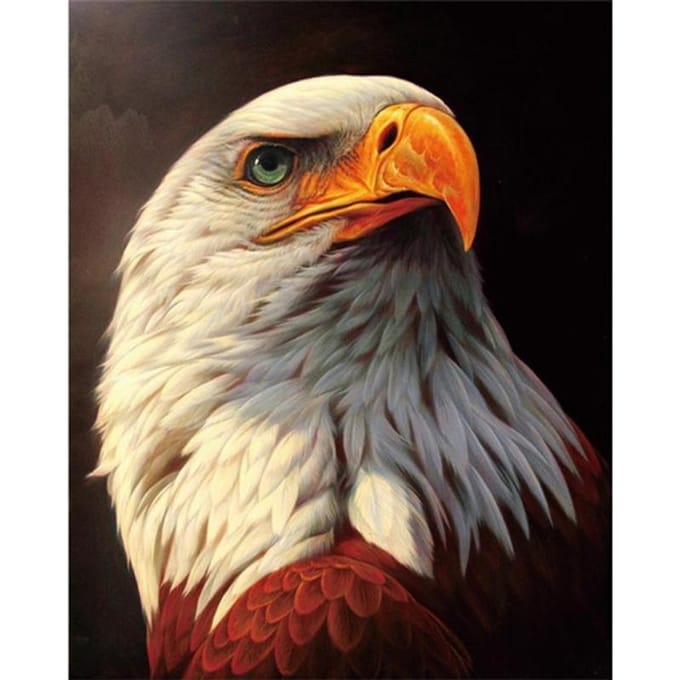 5D Diamond schilderij Eagle kruissteek diamant borduurwerk 20X30CM beige