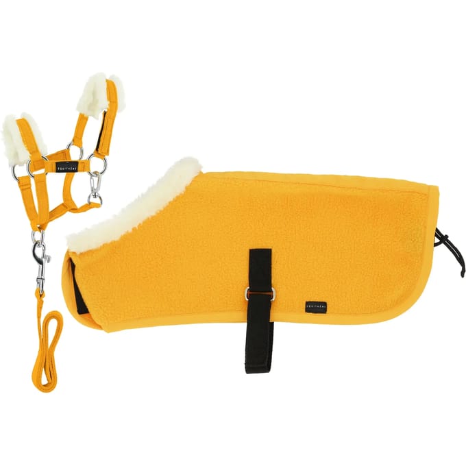 Halsband en longe + deken Equithème