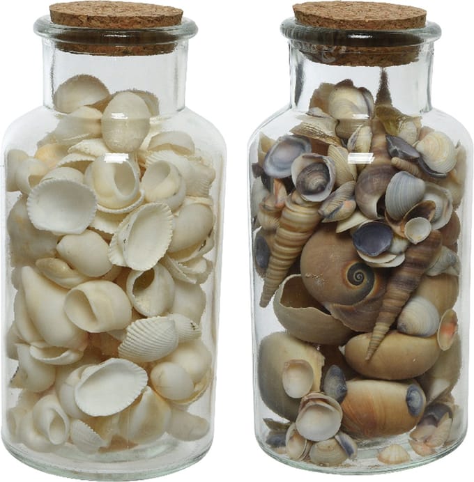 Deco schelpen in glazen pot - 2x stuks - D8 x H16 cm - bruin/wit