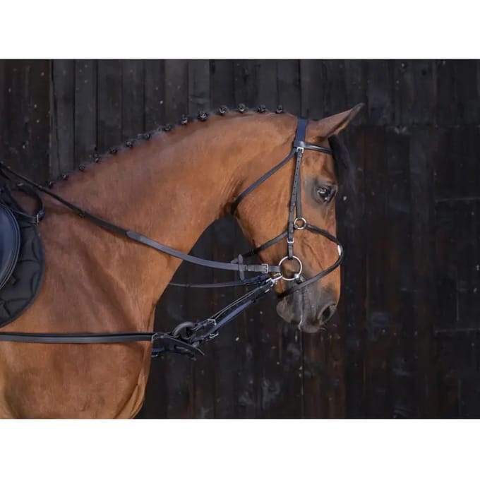 Reining voor paarden Riding World Caoutchouc