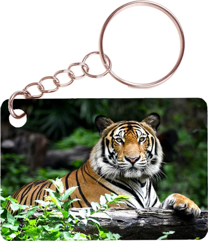 Sleutelhanger 6x4cm - Tijger - Op Boomstam Liggend