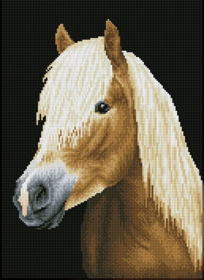 DIAMOND DOTZ Chester - Diamond Painting - 22.352 Dotz - 47x34 cm